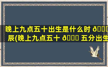 晚上九点五十出生是什么时 🍀 辰(晚上九点五十 🐅 五分出生是什么时辰)